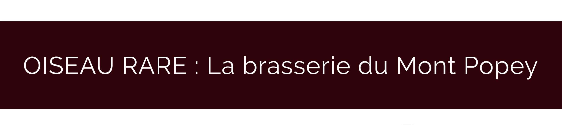 bandeau-artisan-brasserie-mont-popey